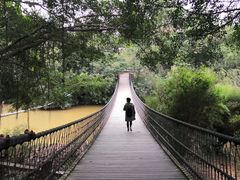 -南宁良凤江国家森林公园