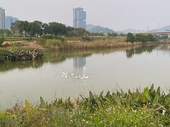 -光明小镇欢乐田园
