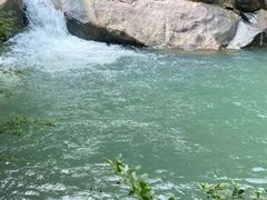 -广州白江湖森林公园