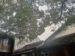 -乌镇东栅景区