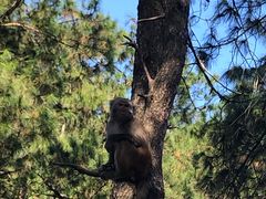 -重庆雨台山风景区
