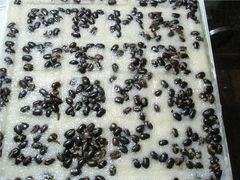 -一品方糕专卖店