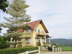 -黄色小屋
