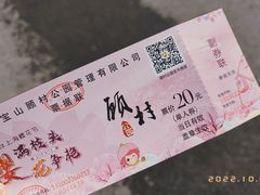 -顾村公园