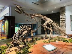 -自贡恐龙博物馆