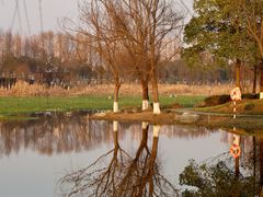 -洋湖国家湿地公园