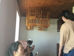 -金山农民画村-枫泾波兰倒置屋