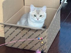 -芭比堂动物医院·犬猫全科·异宠专科(雁塔分院)