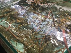 -班赞海鲜市场