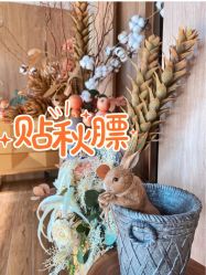 点击看大图 -芳香乐府SPA·五行芳疗