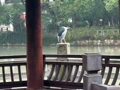 -汇龙潭