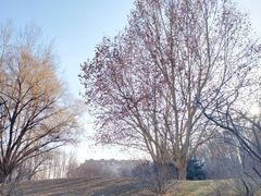 -仁和公园(顺义区)