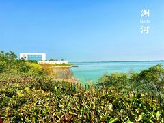 -江滩湿地公园