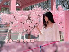 -金茂览秀城