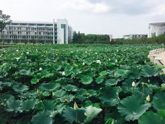 -南京医科大学(江宁校区)
