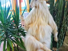 -中国天府农业博览园