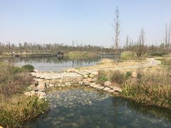 -白鹭湾湿地公园