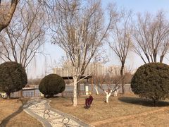 -燕郊植物园