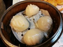 晶莹鲜虾饺-点点心点心专门店(旺角店)