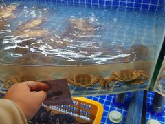 -星伦多自助料理·涮烤一体(虹悦城店)