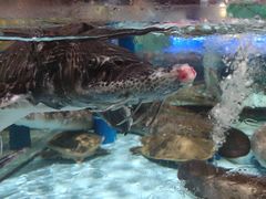-阿伟海鲜楼·福建菜(延寿店)