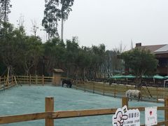 -黄龙溪欢乐田园