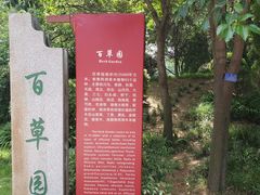 -洛阳市隋唐城遗址植物园