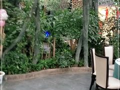 -滕头生态酒店(奉化店)