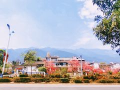 -崇圣寺三塔文化旅游区