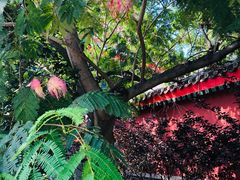 -天津妈祖文化园