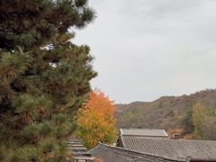 -须弥福寿之庙