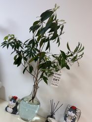 -美肤盾祛痘·问题肌头疗管理中心