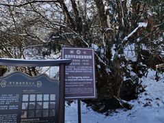 -峨眉山风景名胜区