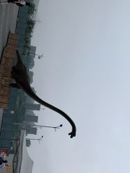 -恐龙探索乐园(磁器口店)