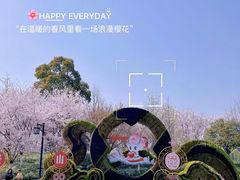 -径山花海