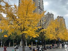-上海尚嘉中心