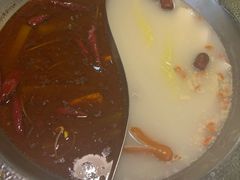 -麻田会 ·鲜活现烹·牛蛙火锅(珠江新城维家思广场店)