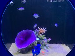 -欢乐海岸海洋奇梦馆
