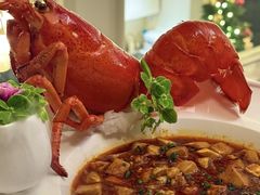 大龙虾麻婆豆腐-火璽·園