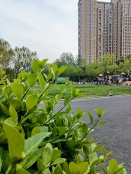 -宝馨月月子中心(友谊医院店)