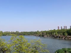 -西安浐灞国家湿地公园