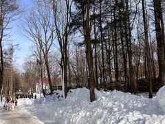 -洛阳白云山景区