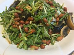 苦菊皮蛋花生米-海味当家(西安路店)