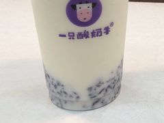 -一只酸奶牛(八一路店)