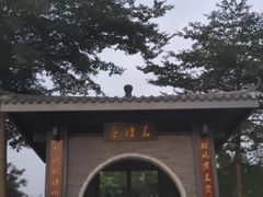 -清湖文化公园