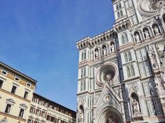 -圣母百花大教堂穹顶