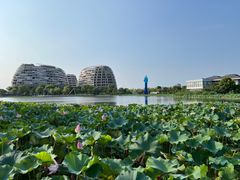 -海天湖公园