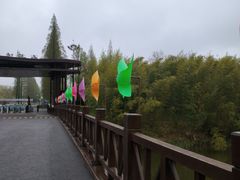 -黄海国家森林公园