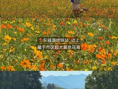 -东钱湖旅游度假区