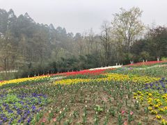 -都江堰玫瑰花溪谷